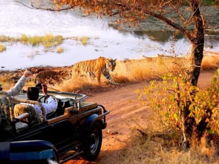 Ranthambore National Park-5
